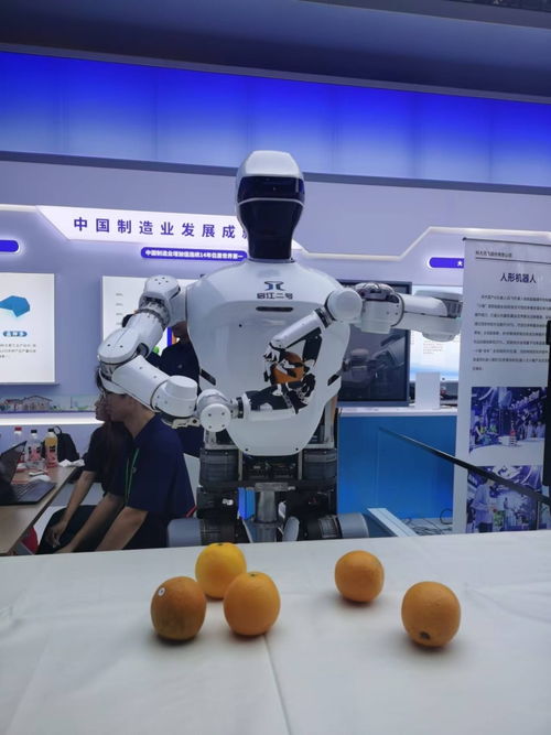 安徽人工智能产业崛起 制造业大会机器人云集，AI软件开发赋能智造升级