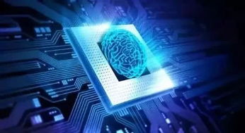 人工智能芯片 硬件与软件共生，驱动AI应用软件开发的未来